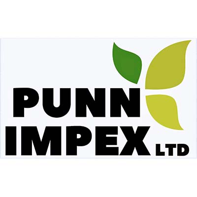 Punn Impex limited